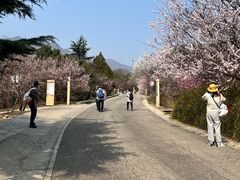 -北京鹫峰国家森林公园