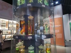 -国家自然博物馆