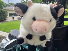 -麓湖高尔夫球俱乐部