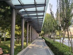 -玲珑塔公园