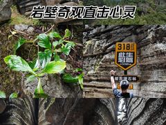 -梭布垭石林景区