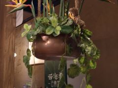 -云海肴·云南小炒·汽锅鸡(天津国金汇店)