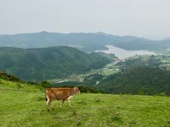 -大姆山草场