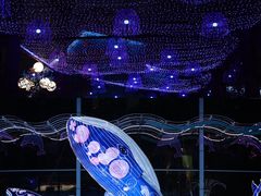 -海合安成都极地海洋公园