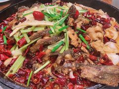 -老板恋上鱼(振华商厦店)