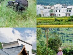 -上坦村