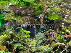 -海合安天津极地海洋公园