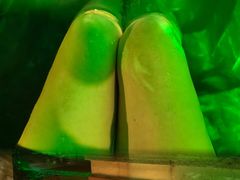 -台山颐和温泉城