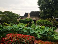 -无锡蠡湖国家湿地公园-蠡园