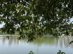 -重庆彩云湖湿地公园