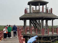 -北海金海湾红树林生态旅游区