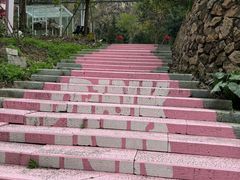 -福道