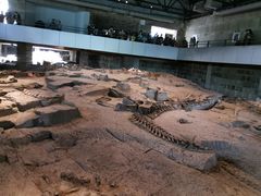 -自贡恐龙博物馆