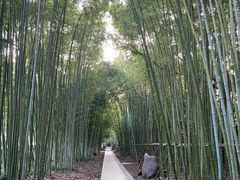 -上海市龙华烈士陵园