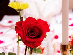 -慢隅法式小馆·生日求婚西餐厅