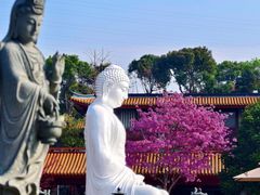 -天竺岩寺