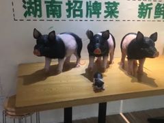 -小稻田辣椒炒肉(大浪商业中心店)