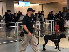 -达拉斯 沃斯堡国际机场