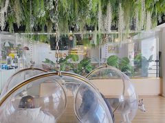 -Husky Go! 哈士奇体验馆·宠物咖啡厅狗咖