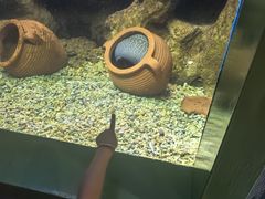 -蓬莱欧乐堡海洋极地世界