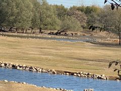 -北京麋鹿生态实验中心