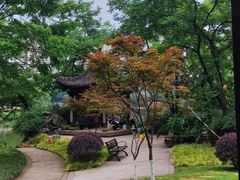 -重庆彩云湖湿地公园