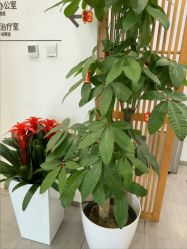 -和颜一美轻医美连锁