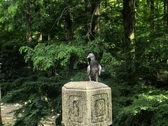 -音乐台