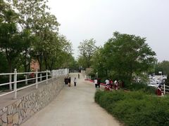 android_upload_pic-北京市海淀外国语实验学校