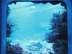 -欢乐海岸海洋奇梦馆