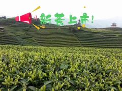 -兰剑驾校(汉阳校区)