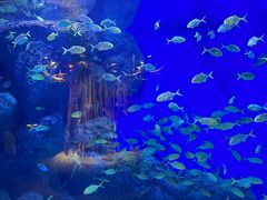 -成都浩海立方海洋公园