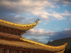 -达仓郎木寺院