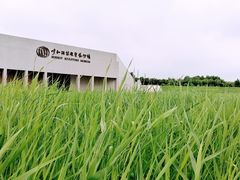 -内蒙古美术馆