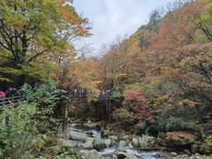 -光雾山旅游景区