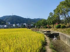 -K·Kitchen KK牛扒厨房(江南西店)