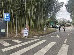 -都江堰中华大熊猫苑