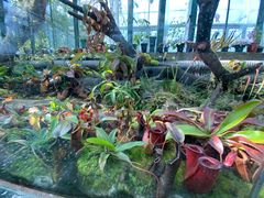 -国家植物园南园