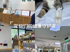 -美联众合动物医院·24h转诊中心