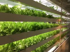 -伊东屋(本店)