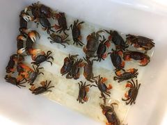-双季花艺园艺市场(浦东店)