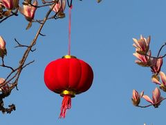-金鸡湖景区