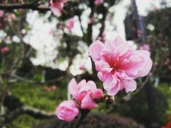-乌山风景区