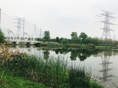 -九里河湿地公园