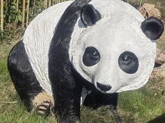 -武汉动物园