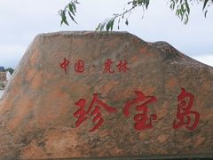 -珍宝岛