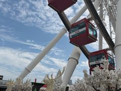 -同庆楼(滨湖万达广场店)