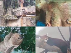 -杭州野生动物世界