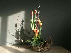 -荷兰布尔玛国际花艺学院