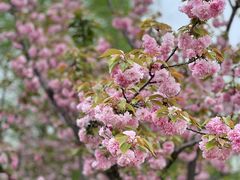 -下渚湖·湿地公园